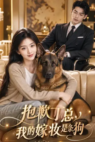 《抱歉丁总，我的嫁妆是条狗（67集）（夸克网盘）》短剧封面
