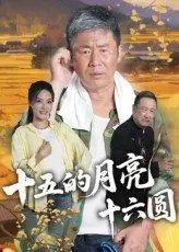 《十五的月亮十六圆》短剧封面