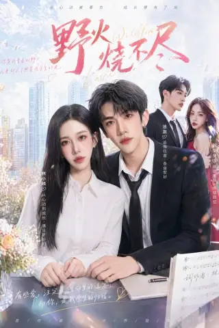 《野火烧不尽（40集）（夸克网盘）》短剧封面
