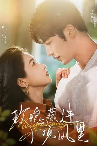 《玫瑰藏进晚风里》短剧封面