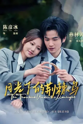 《月光下的荆棘鸟（80集）陈彦冰＆孙林涛（百度网盘）》短剧封面