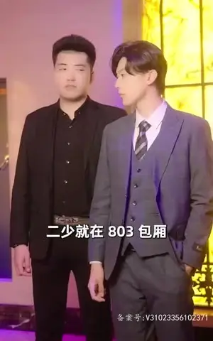 《徐徐入怀中（96集）》短剧封面