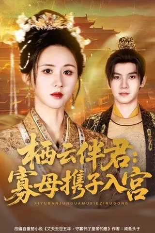 《栖云伴君寡母携子入宫（89集）吴宇航＆书雪漫》短剧封面