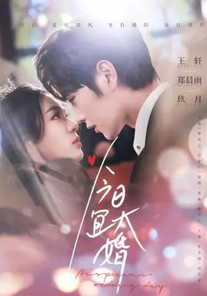 《今日宜大婚(59集)王轩&郑雨晨(夸克网盘)》短剧封面