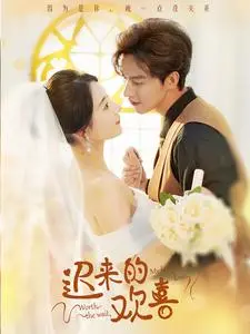 《迟来的欢喜》短剧封面