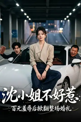 《沈小姐不好惹，百元羞辱后掀翻整场婚礼（40集）AI短剧 (2026)》短剧封面
