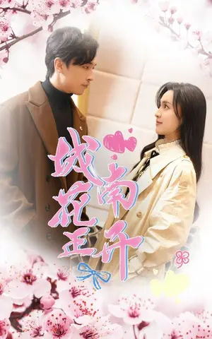 《城南花正开》短剧封面