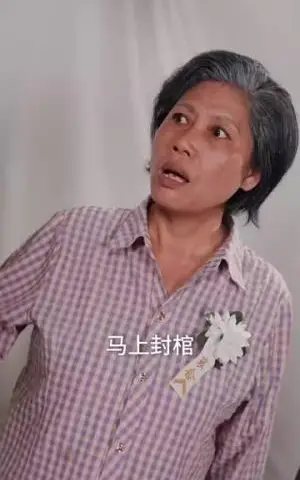 《丑妻（66集）林初 陈洁蕾（夸克网盘）》短剧封面