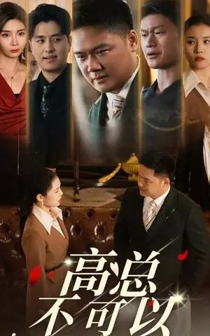 《高总不可以（45集）（夸克网盘）》短剧封面