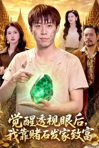《觉醒透视眼后，我靠赌石发家致富（89集）赵书苑＆董秋怡（夸克网盘）》短剧封面