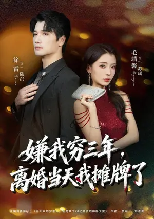 《嫌我穷三年，离婚当天我摊牌了（47集）徐霄&毛靖馨（夸克网盘）》短剧封面