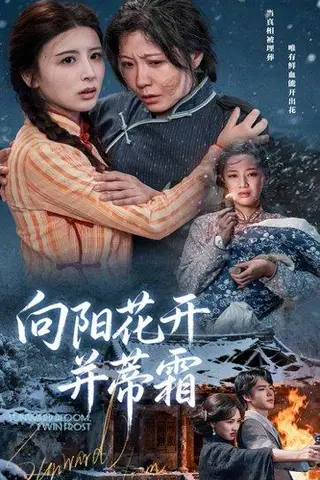 《向阳花开并蒂霜》短剧封面