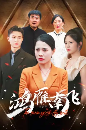 《鸿雁南飞》短剧封面