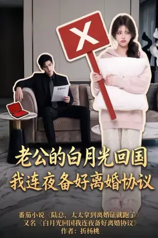 《老公的白月光回国我连夜备好离婚协议（100集）（夸克网盘）》短剧封面