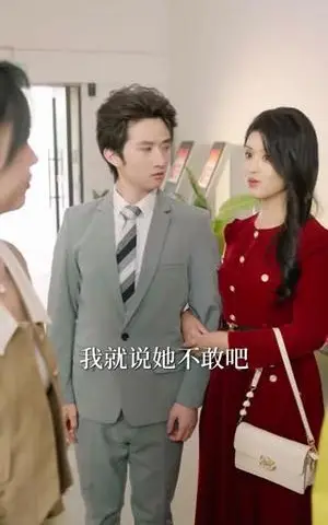 《退婚当天，我闪婚真大佬（60集）向北&张亿&玖玖（夸克网盘）》短剧封面