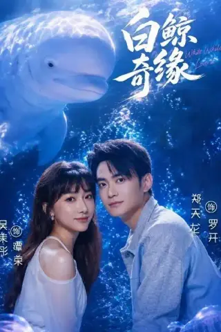 《白鲸奇缘（52集）吴茉彤＆郑天龙＆王志豪＆刘倩宇＆梅先锋（1080P）（夸克网盘）》短剧封面