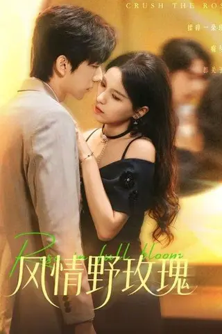 《风情野玫瑰＆揉碎玫瑰（70集）方思畅＆冯子毅（百度网盘）》短剧封面