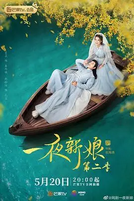《一夜新娘 第二季》电影封面