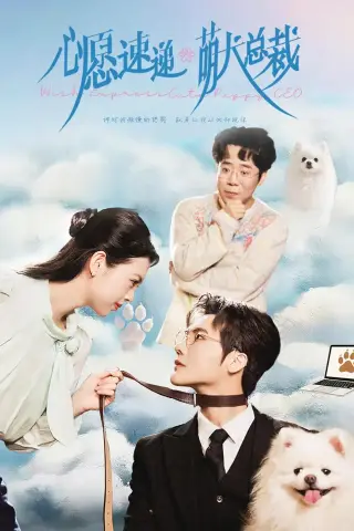 《心愿速递之萌犬总裁（50集）蓝曦鹿＆蒋辰瑞（夸克网盘）》短剧封面