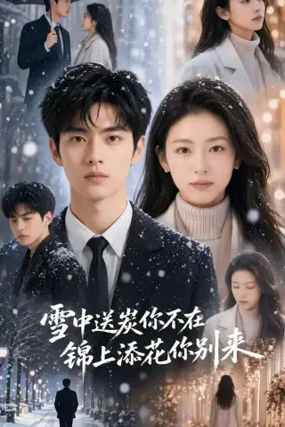 《雪中送炭你不在，锦上添花你别来（60集）（夸克网盘）》短剧封面