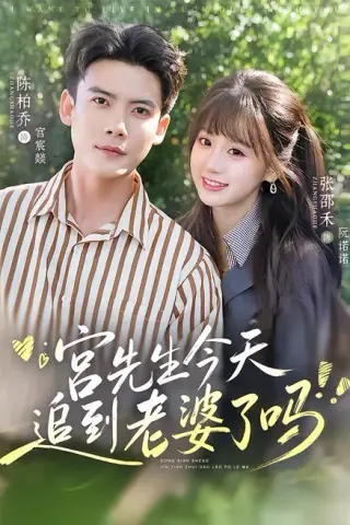 《宫先生今天追到老婆了吗（73集）陈刚＆张邵禾（1080P）（夸克网盘）》短剧封面