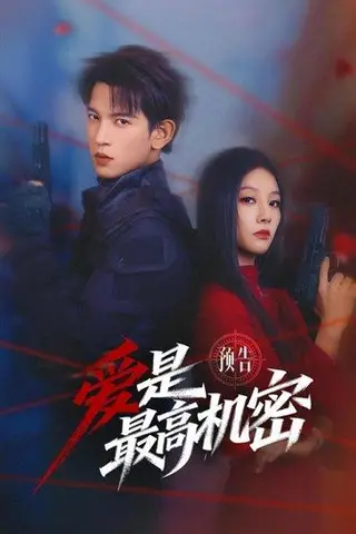 《爱是最高机密（25集）王嘉懋&朱丽岚（百度网盘）》短剧封面