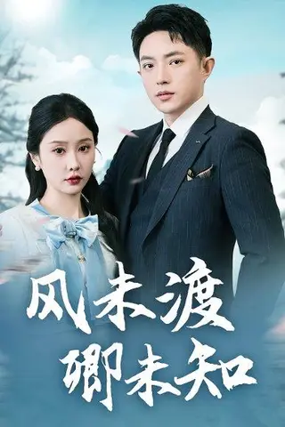 《风未渡卿未知（65集）》短剧封面