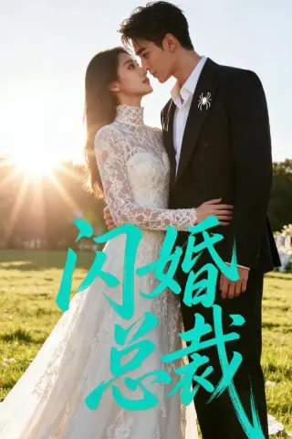 《闪婚总裁（29集）（夸克网盘）》短剧封面
