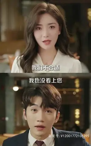 《风起时见你（93集）》短剧封面