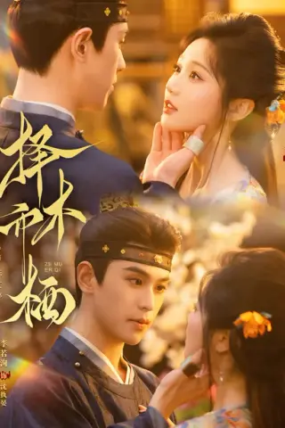 《择木而栖（84集）李若洵＆岳雨婷（1080P）（夸克网盘）》短剧封面