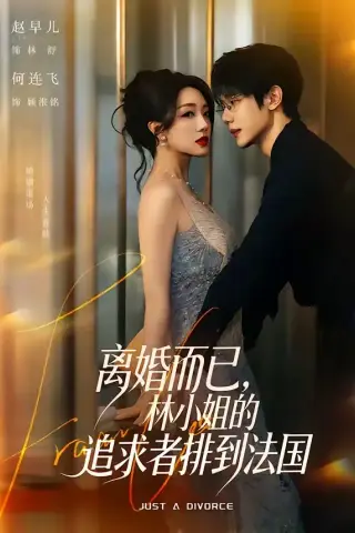 《离婚而已，林小姐的追求者排到法国（79集）何连飞＆赵早儿（夸克网盘）》短剧封面