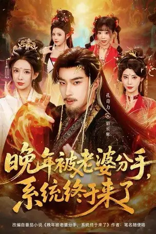 《晚年被老婆分手，系统终于来了（80集）李若希＆孔奇力》短剧封面