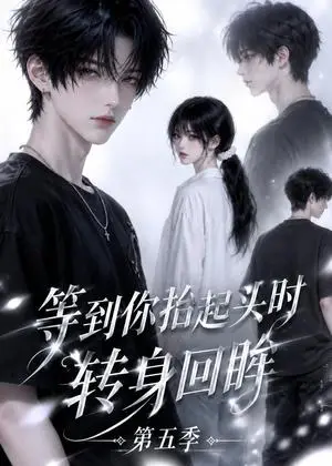 《等到你抬起头时转身回眸（第五季）（38集）（夸克网盘）》短剧封面