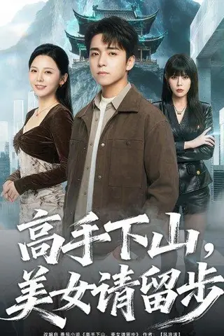《高手下山，mei女请留步（80集）金大钟＆李图图（百度网盘）》短剧封面