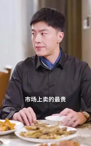 《擦边剧:闪婚后,任总突然傲娇了》短剧封面