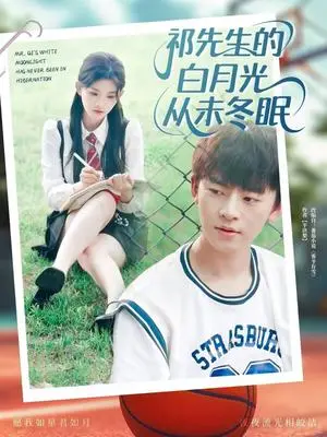 《祁先生的白月光从未冬眠 (80集) 潘慧敏》短剧封面