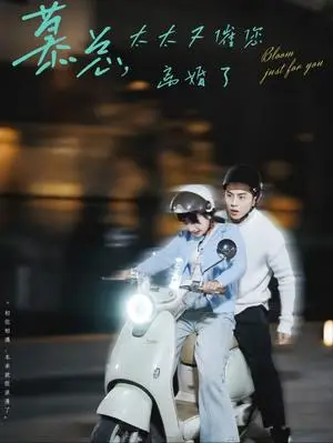 《慕总太太又催您离婚了（80集）李可乐＆象韵洁（夸克网盘）》短剧封面