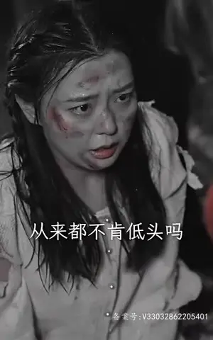《南瓷北城（95集）》短剧封面