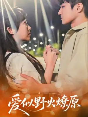 《爱似野火燎原（47集）刘博文&景晓媚（夸克网盘）》短剧封面