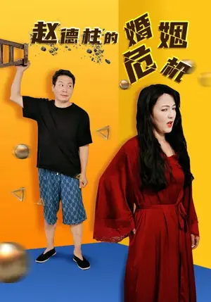 《赵德柱的婚姻危机》短剧封面