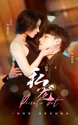《私宠(94集)》短剧封面