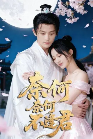《奈何奈何不逢君》短剧封面