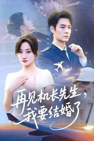 《再见机长先生我要结婚了》短剧封面