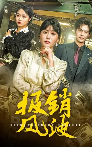 《报销风波（54集）（夸克网盘）》短剧封面