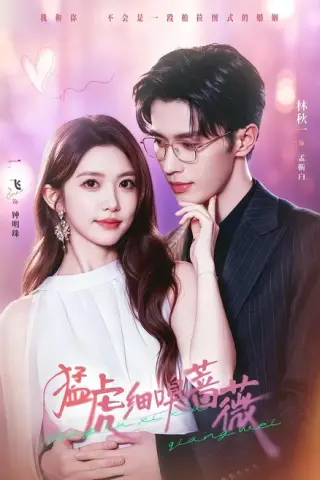 《猛虎细嗅蔷薇（60集）一飞＆林秋一（夸克网盘）》短剧封面
