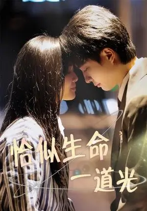 《恰似生命一道光（60集）柳田&罗茂阳（夸克网盘）》短剧封面