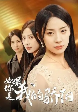 《如果你是我的骄阳（30集）杨洛仟（夸克网盘）》短剧封面
