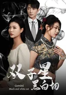 《双子星黑白切》短剧封面