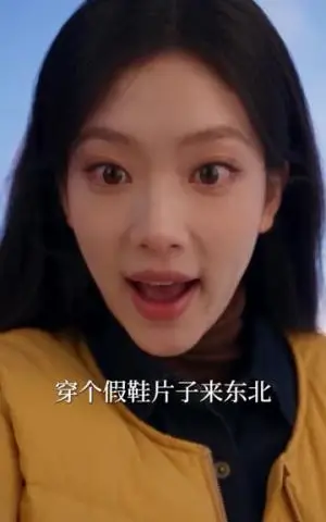 《小苦瓜回到东北后（100集）（夸克网盘）》短剧封面