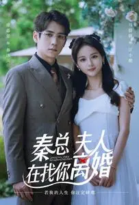 《秦总夫人在找你离婚》短剧封面